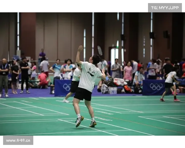 羽毛球顶尖赛事、羽毛球比赛排名